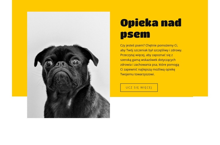 Każdy kocha psy Kreator witryn internetowych HTML