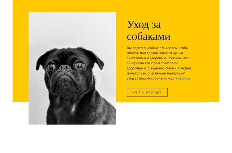 Все любят собак Конструктор сайтов HTML