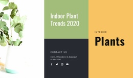 Trendy Vnitřních Rostlin - Online HTML Page Builder