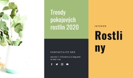 Trendy Vnitřních Rostlin – Šablona Osobních Webových Stránek