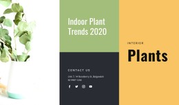 Indoor Plant Trends CSS Template