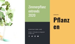 Zimmerpflanzentrends - Kreative Mehrzweck-Zielseite