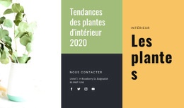 Conception De Sites Web Tendances Des Plantes D'Intérieur Pour N'Importe Quel Appareil