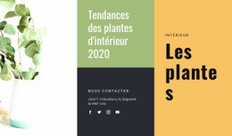 Tendances Des Plantes D'Intérieur - Créateur De Sites Web Créatifs Et Polyvalents