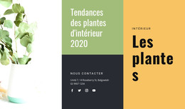 Tendances Des Plantes D'Intérieur – Modèle De Site Web HTML