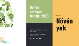 Beltéri Növények Trendjei - HTML Webhelysablon