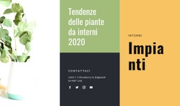 Generatore Di Pagine Per Tendenze Delle Piante Da Interni