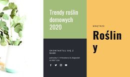 Trendy Dotyczące Roślin Domowych - Pobierz Bezpłatnie Motyw WordPress