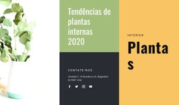 Tendências De Plantas De Interior - Modelo HTML5 Profissional