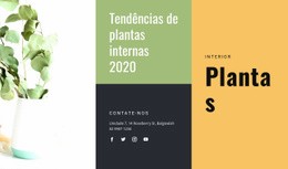 Tendências De Plantas De Interior #Landing-Page-Pt-Seo-One-Item-Suffix
