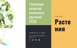 Тенденции Комнатных Растений - Online HTML Page Builder