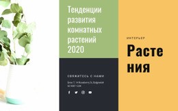 Тенденции Комнатных Растений – HTML-Шаблон Сайта