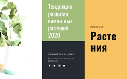 Тенденции Комнатных Растений – Профессиональный Шаблон HTML5