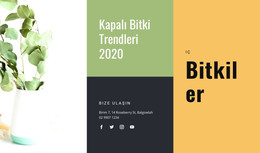 Kapalı Bitki Trendleri - HTML Web Sitesi Şablonu