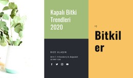 Herhangi Bir Cihaz Için Web Sitesi Tasarımı Kapalı Bitki Trendleri