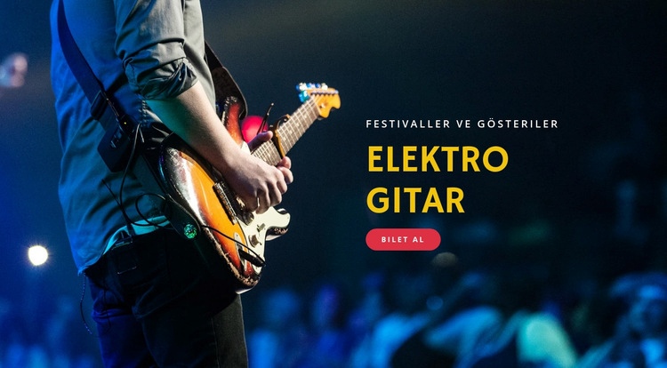 Elektro gitar festivalleri Web Sitesi Oluşturucu Şablonları