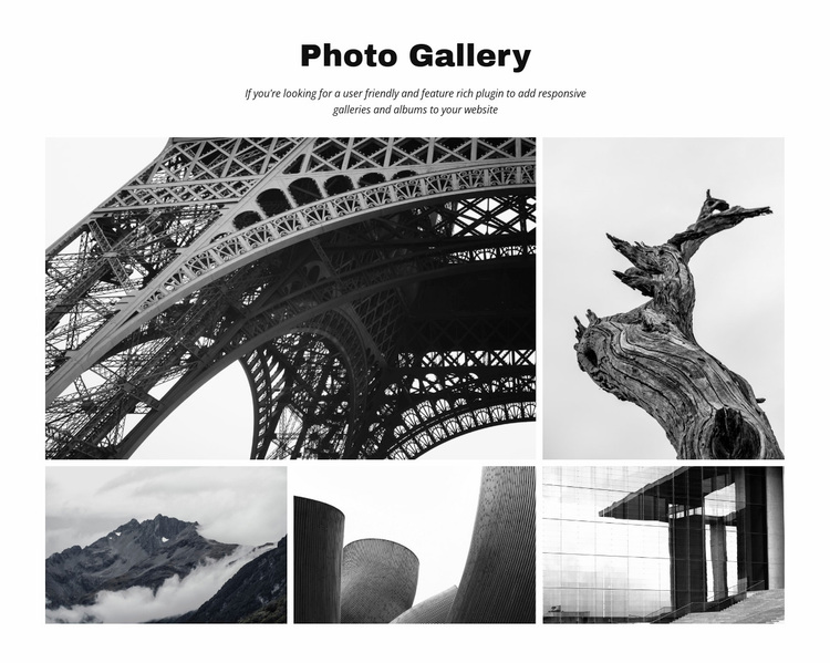 Photo Gallery Website Design