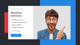 Conocimientos Técnicos - Plantilla De WordPress