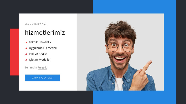 Teknik uzmanlık WordPress Teması