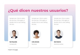 Impresionante Diseño Web Para Que Dicen Nuestros Usuarios