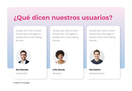 Que Dicen Nuestros Usuarios - Tema Gratuito De WordPress