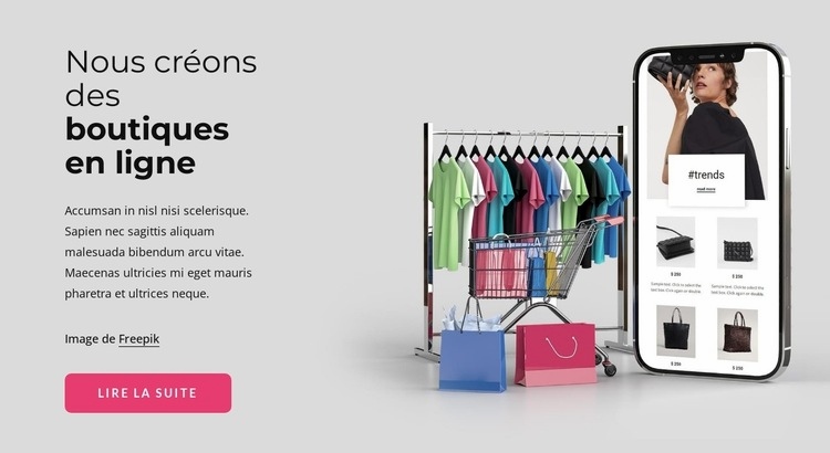 Nous créons des boutiques en ligne Conception de site Web