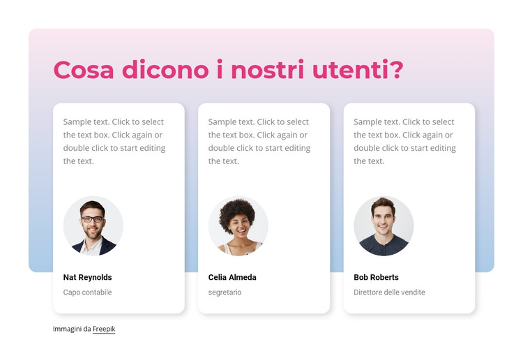 Cosa dicono i nostri utenti Tema WordPress