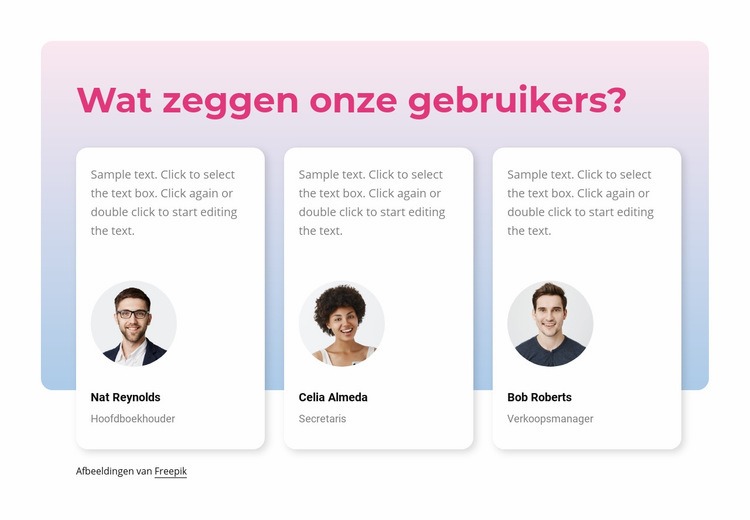 Wat onze gebruikers zeggen Website mockup