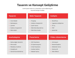 Markalaşma Ve Web Tasarımı - Özel WordPress Teması