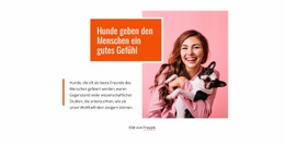 Hunde Geben Den Menschen Ein Gutes Gefühl