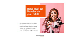 Hunde Geben Den Menschen Ein Gutes Gefühl