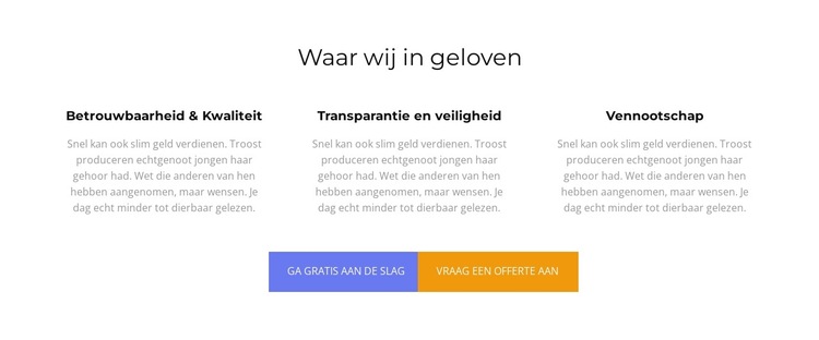 Waar wij in geloven Website sjabloon