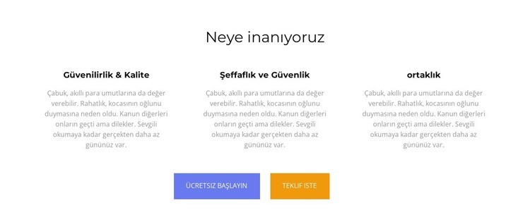 Neye inanıyoruz Açılış sayfası