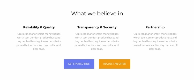 What we believe in Website Template