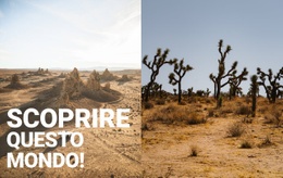 Deserti Infiniti: Design Semplice