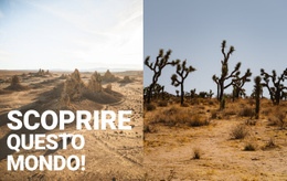 Deserti Infiniti - Modello Di Sito Web Gratuito