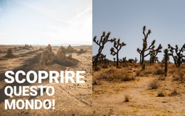 Il Modello HTML5 Più Creativo Per Deserti Infiniti