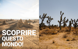 Deserti Infiniti - Miglior Tema WordPress Gratuito