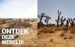 Eindeloze Woestijnen #Css-Templates-Nl-Seo-One-Item-Suffix