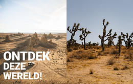 HTML-Website Voor Eindeloze Woestijnen