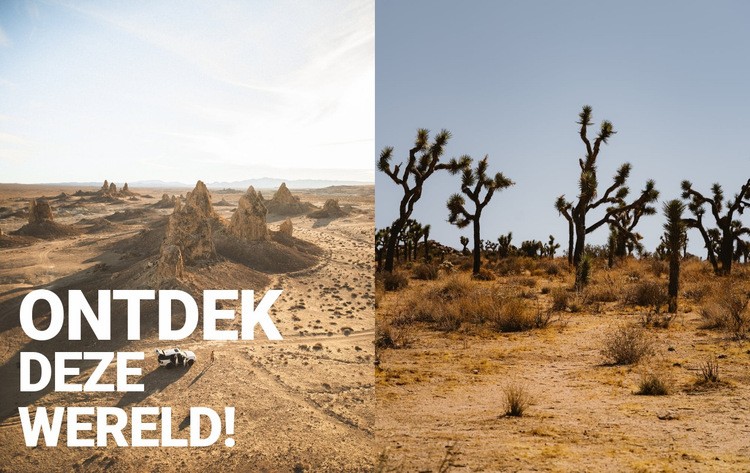 Eindeloze woestijnen Website mockup