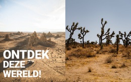 Eindeloze Woestijnen - Eenvoudig Ontwerp