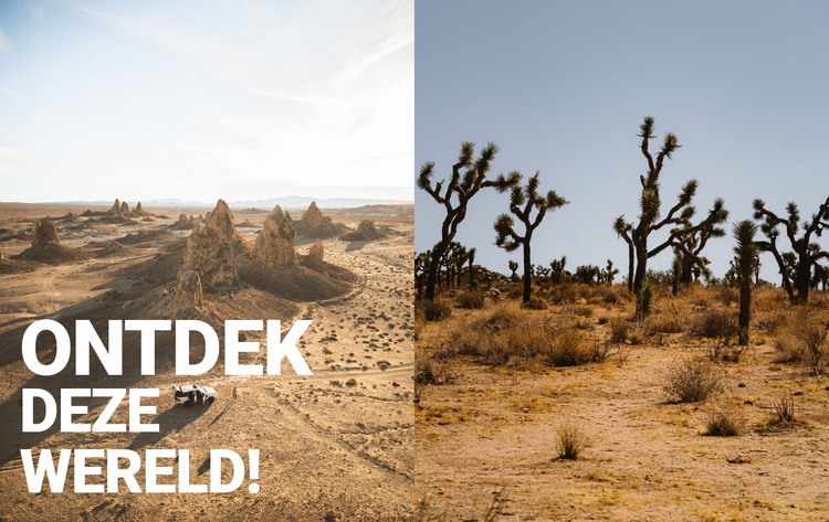 Eindeloze woestijnen Website ontwerp
