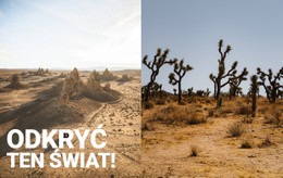 Niekończące Się Pustynie Szablon