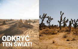 Witryna Internetowa HTML Dla Niekończące Się Pustynie