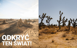 Niekończące Się Pustynie - Wbudowana Funkcjonalność Cms