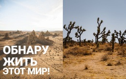 Бесконечные Пустыни #Website-Design-Ru-Seo-One-Item-Suffix