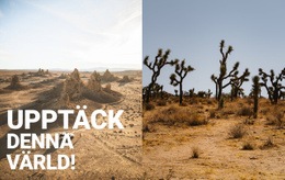 HTML-Webbplats För Oändliga Öknar