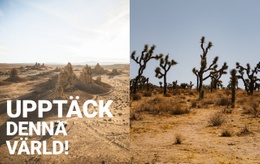 Oändliga Öknar - Inbyggd Cms-Funktionalitet