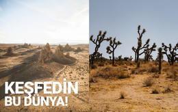 Sonsuz Çöller Için HTML Web Sitesi